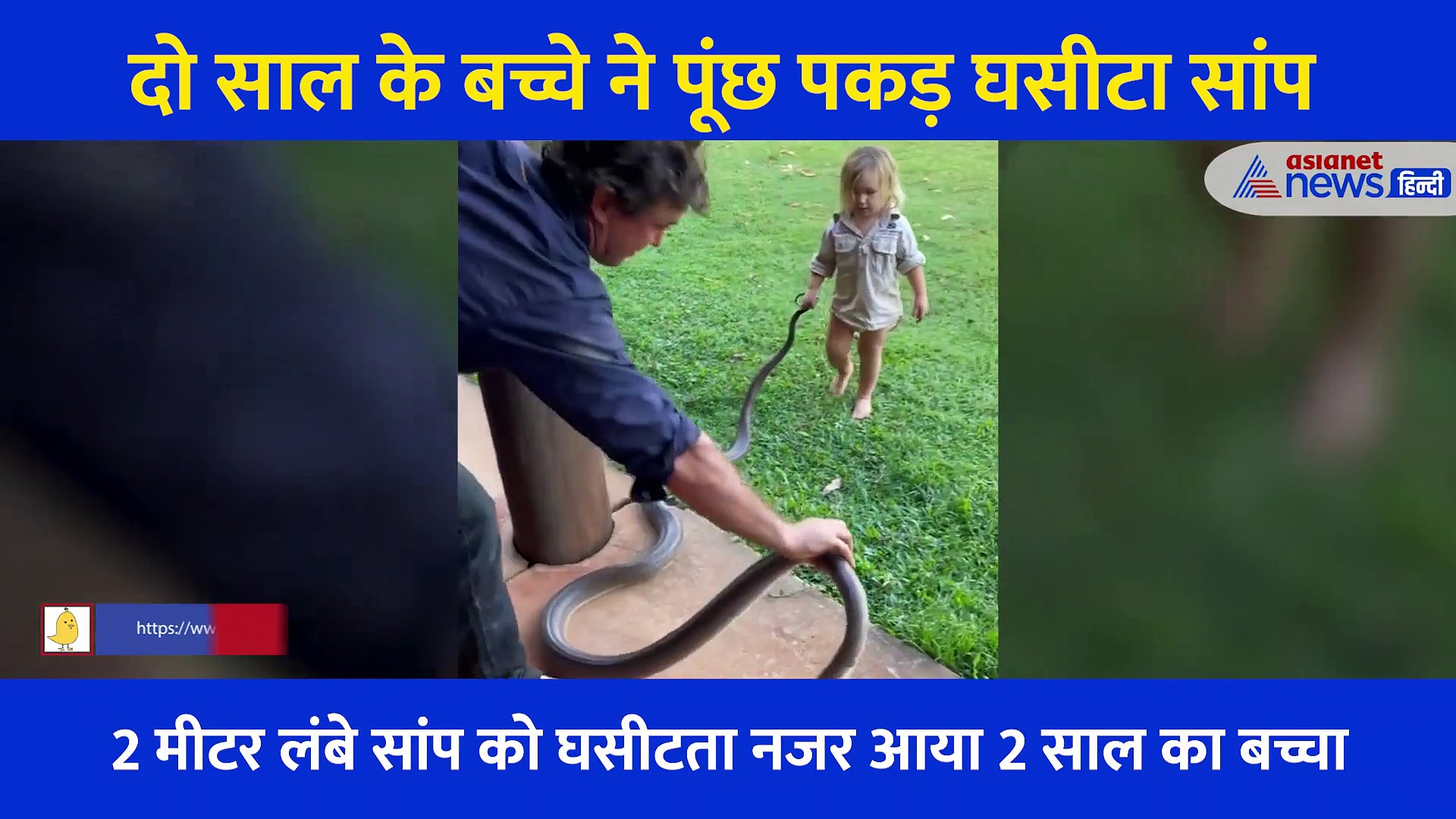 Video: दो साल के बच्चे ने पूंछ पकड़ घसीटा 2 मीटर लंबा सांप, बच्चे की तारीफ करते नहीं थक रहे लोग