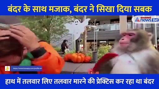 Video:बंदर के साथ मजाक, बंदर ने सिखा दिया गजब सबक... बंदे का दर्द देख छूट जाएगी हंसी