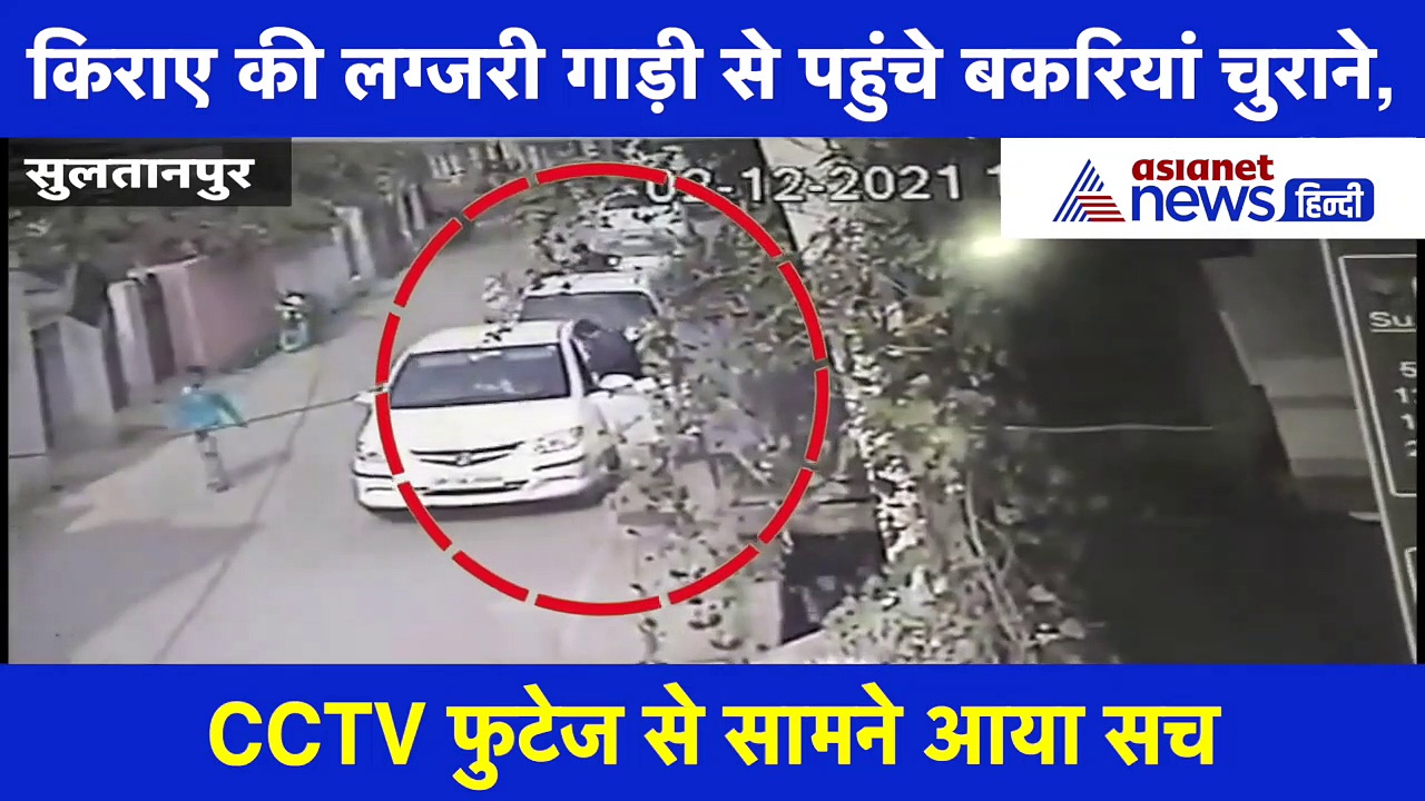 लग्जरी कार से आकर बकरियां उठाकर ले गए चोर, सीसीटीवी फुटेज में हुआ खुलासा, देखें वीडियो
