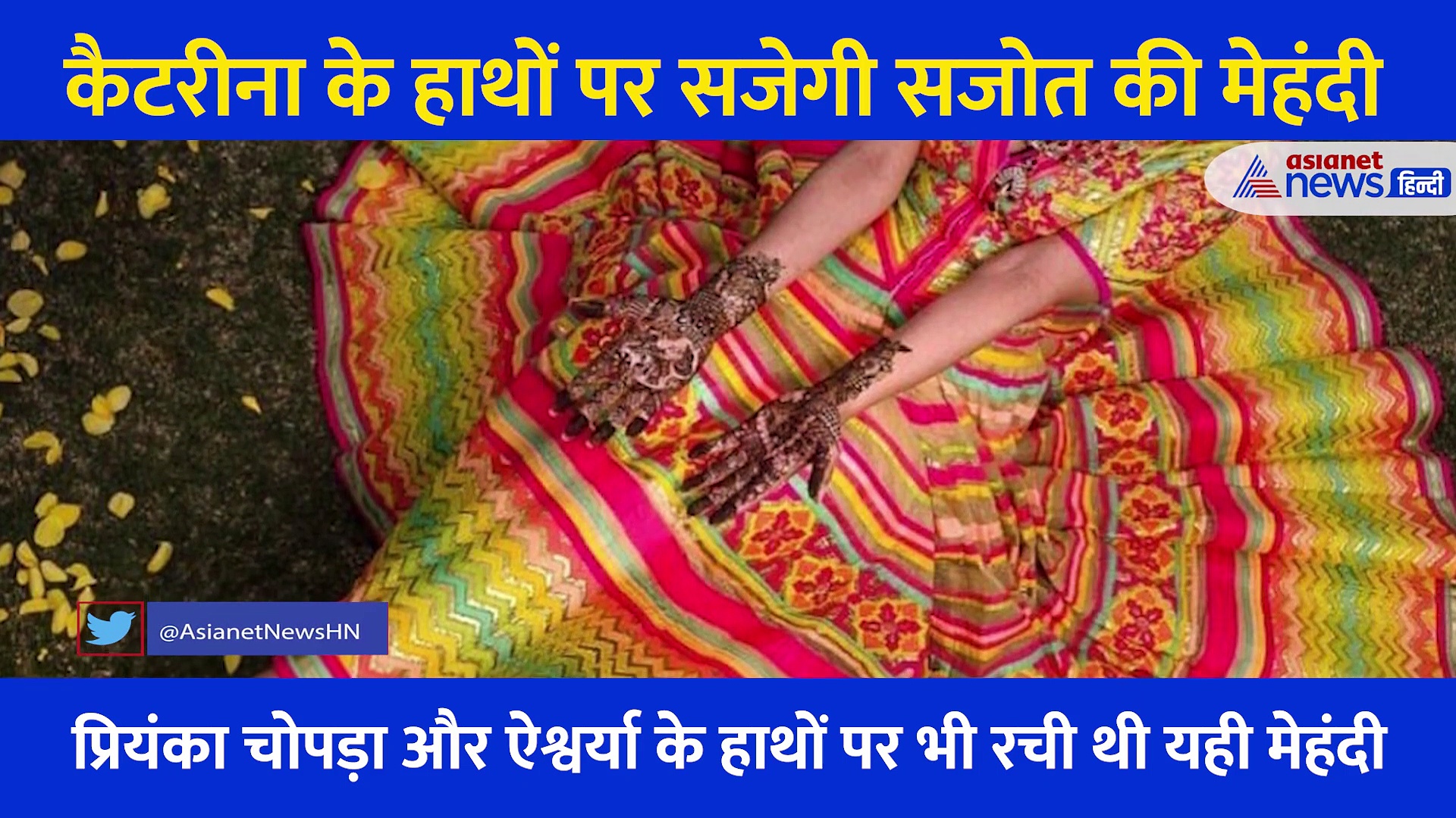 जहां से आई Priyanka-Aishwarya की मेहंदी उसी से रचेंगे Katrina के हाथ, जानें राजस्थान की 'हीना' में क्या है खास