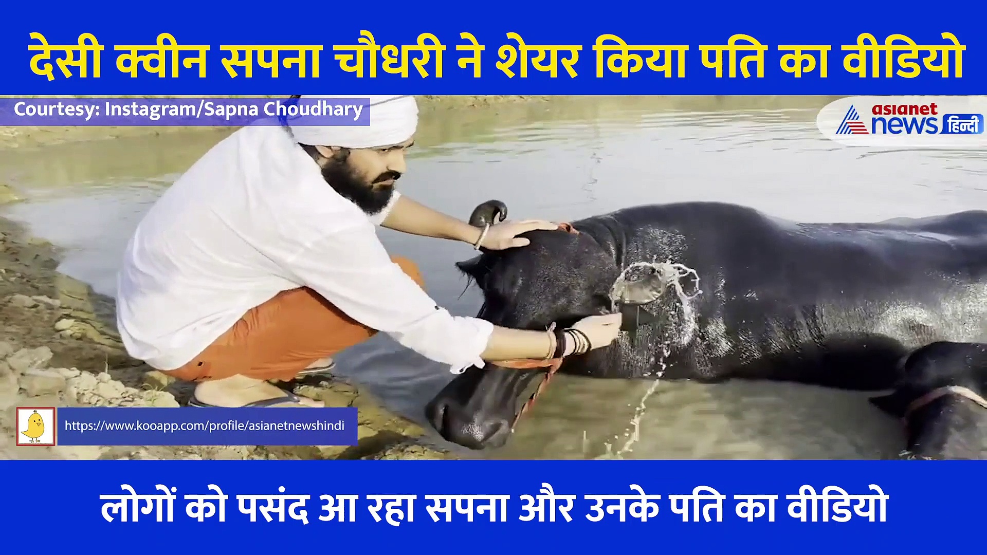 सिर पर गमछा बांध भैंसों को नहलाते दिखे सपना चौधरी के पति.... एक्ट्रेस ने शेयर किया शानदार Video