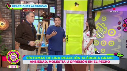 Reacciones alérgicas: Cómo son, qué hacer y más | Visita De Doctor