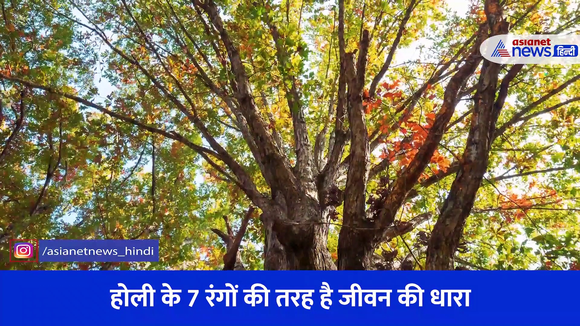 होली हमें कैसे सिखाती है लाइफ को बैलेंस करना, रंगों में छिपे हैं लाइफमैनेजमेंट के टिप्स