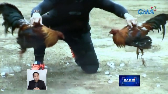 6 na ilegal e-sabong websites, nabisto ng PNP | Saksi