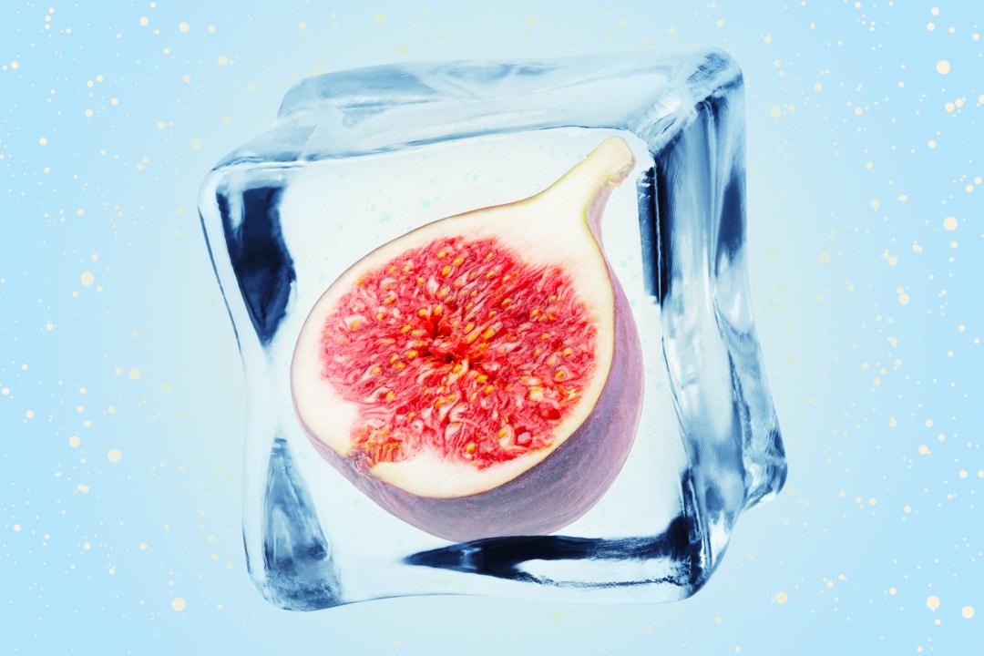 Can You Freeze Figs?