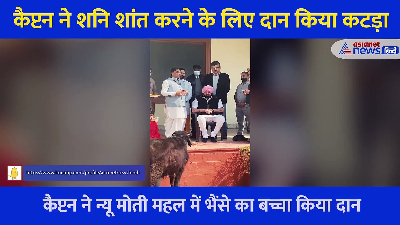 Punjab Election: कैप्टन का टोटका, मां काली और शनि शांति के लिए दान किया कोटड़ा, देखें Video