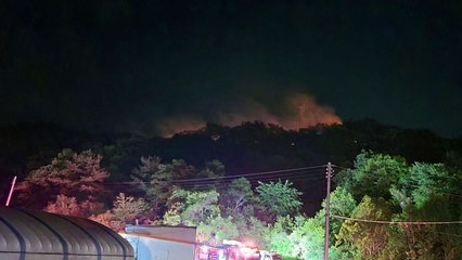 강원 삼척 멍애산 불...진화대원 170명 투입 / YTN