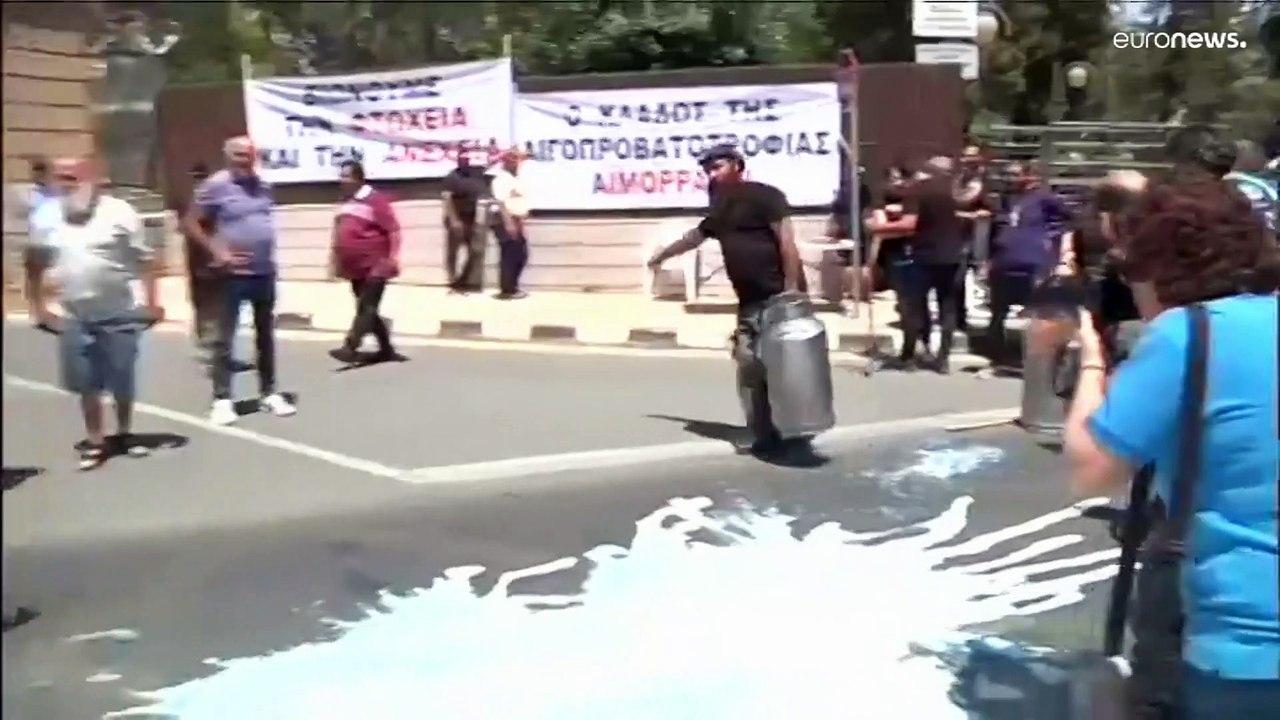 Wegen Halloumi-Käse: Zyprische Bauern schütten ihre Milch auf die Straße