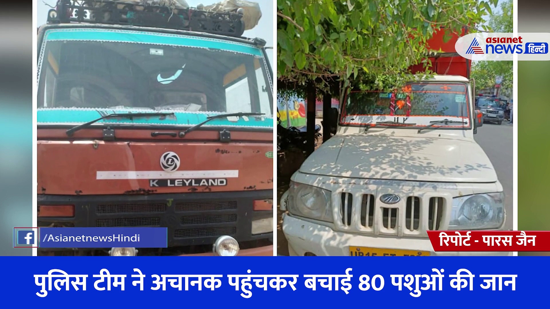 अवैध रूप से संचालित हो रहा था स्लाटर हाउस, पुलिस टीम ने अचानक पहुंचकर बचाई 80 पशुओं की जान