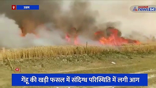 आग ने मचाया तांडव, 50 बीघा से ज्यादा फसल जलकर हुई खाक