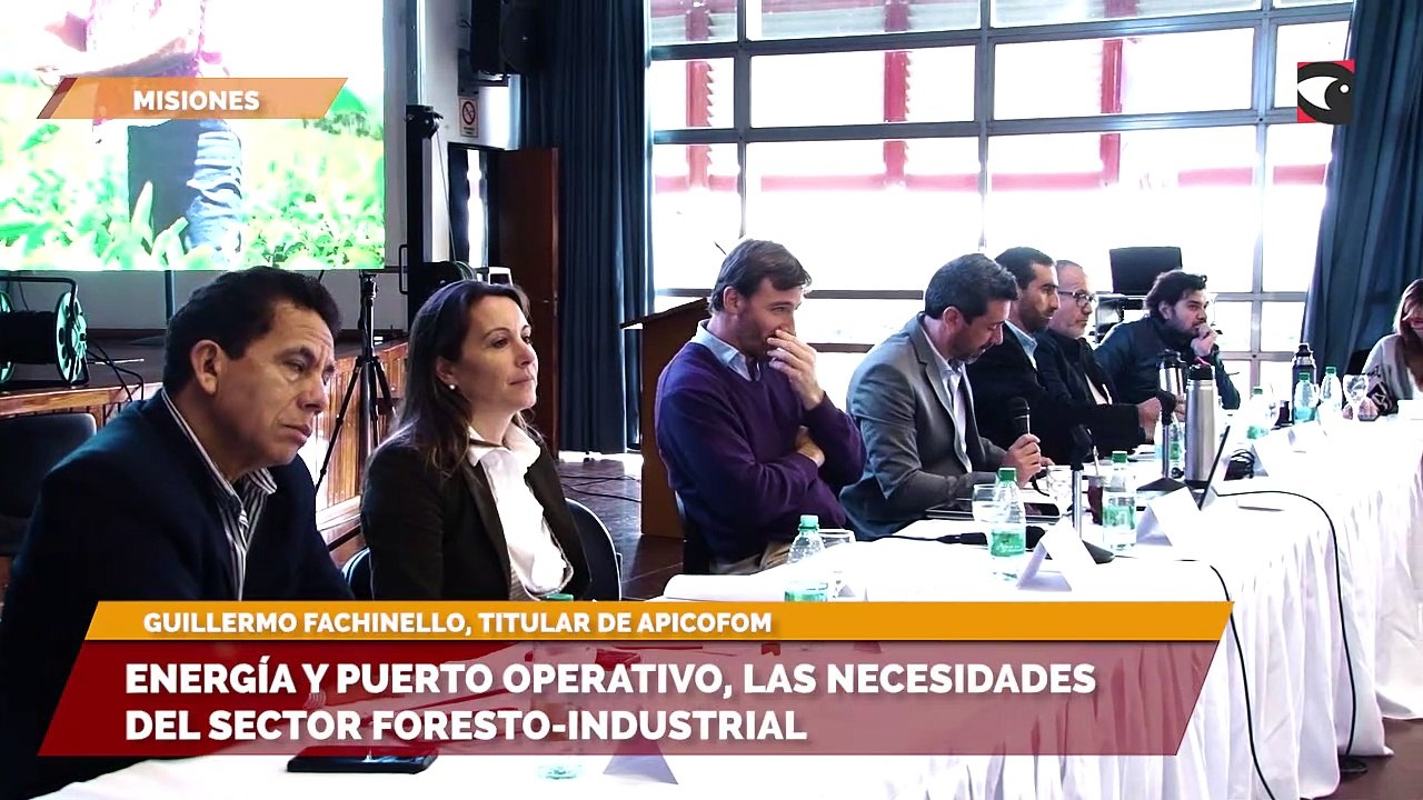 Energía y puerto operativo, las necesidades del sector foresto-industrial