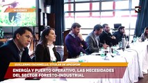 Energía y puerto operativo, las necesidades del sector foresto-industrial