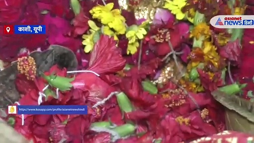 विवाह या शिक्षा में आ रही अड़चन, नवरात्र के छठवें दिन मां कात्यायनी की ऐसे करें पूजा,  ऐसा है मां का स्वरूप