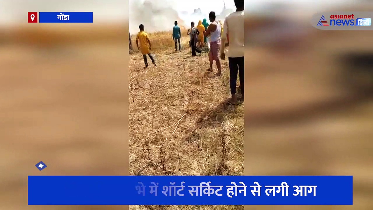 बिजली के खंभे में शॉर्ट सर्किट होने से लगी आग, 12 एकड़ गेहूं की फसल जलकर हुईं खाक, देखें वीडियो