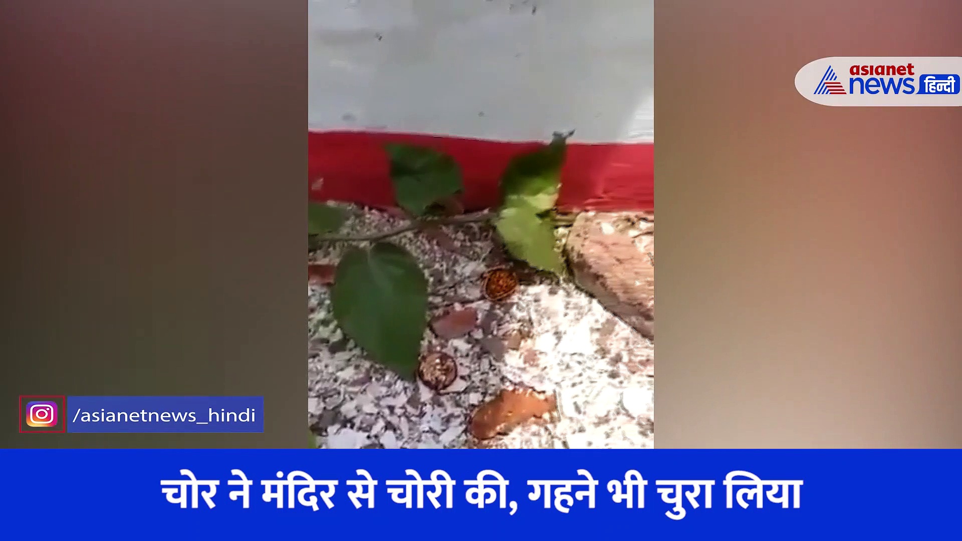 Video: चोरी करने मंदिर में घुसा शख्स,  बाहर निकला तो दीवार में फंसा, घंटो तक जूझा... फिर हुआ कुछ ऐसा