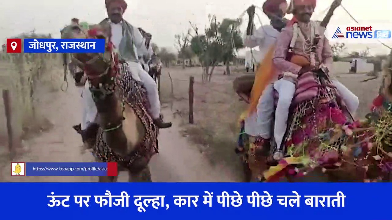 ऊंट पर बैठ दुल्हन लेने जा रहे दूल्हे से जब पत्रकार ने पूछा सवाल... शर्माते हुए बोला बस इतनी बात, अनोखा  Video