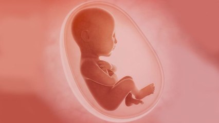 What If We Could Grow Babies in Artificial Wombs?