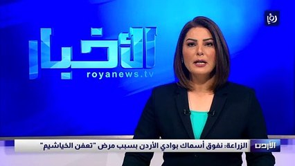 الزراعة: نفوق أسماك بوادي الأردن بسبب مرض "تعفن الخياشيم"