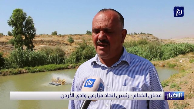 قلق بعد نفوق أعداد كبيرة من أسماك الكارب في وادي الأردن