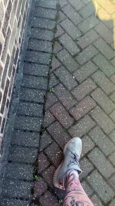 Nan Thinks Bird Opens Window