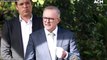 Albanese says Liberal in-fighting is a 