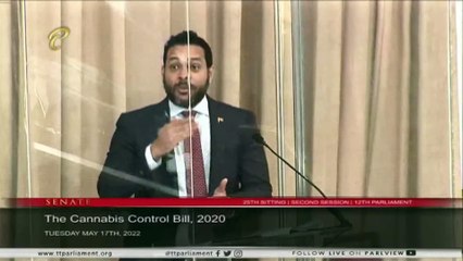 SENATE VP STOPS MITCHELL FROM REFERRING TO ROBERTS