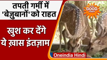 Udhampur के Tanday Park में बढ़ती गर्मी को देख हिरणों के लिए किए गए खास इंतजाम | वनइंडिया हिंदी