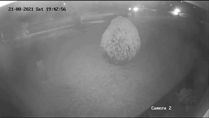 CCTV footage of the moments before and after Mr Davis' death - May 2022 - Illawarra Mercury