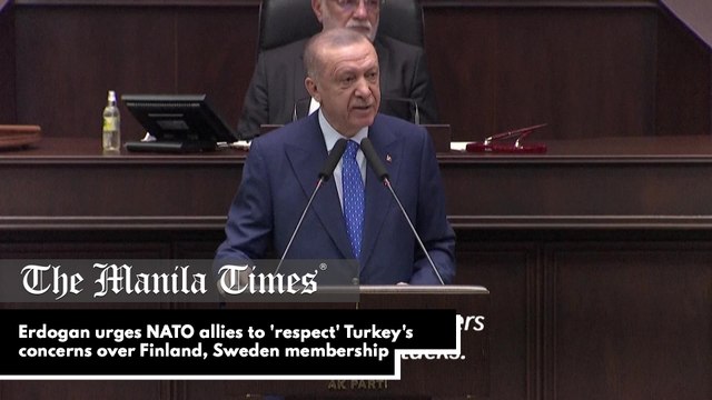 Erdogan urges NATO allies to 'respect' Turkey's concerns over Finland, Sweden membership