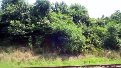 Baltimore Light Rail Ride to Downtown