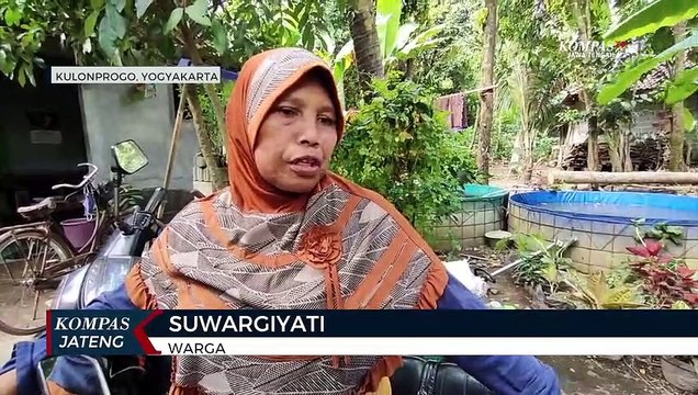 Kambing Bantuan Pemkab Kulon Progo Positif PMK