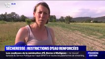 Pour faire face à la sécheresse, les restrictions d'eau sont renforcées dans les Bouches-du-Rhône