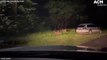 Deer spotted next to road in Wollongong on Wednesday | May 18, 2022 | Illawarra Mercury