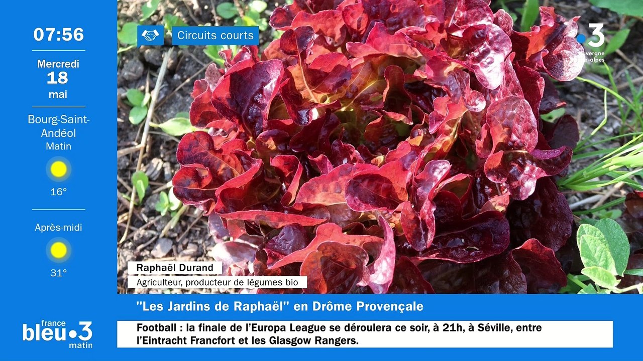 A Chantemerle-lès-Grignan, Les Jardins de Raphaël, producteur de légumes Bio gouteux, à haute valeur nutritive