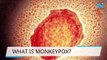 US reports 1st monkeypox case of 2022, Europe reports small outbreaks