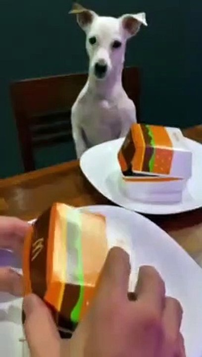 Angry because burger