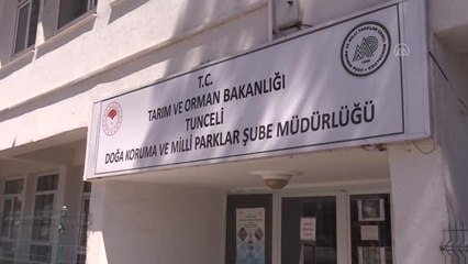 Anneleri ölen yavru sincaplara biberonlu bakım