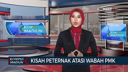 Kisah Peternak Atasi Wabah PMK