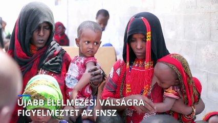 Újabb élelmezési válságtól tart az ENSZ