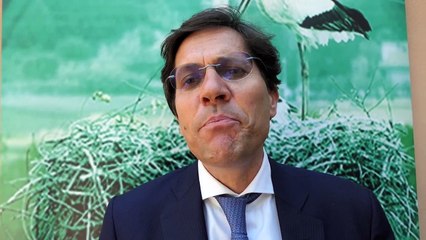 Enel lancia una piattaforma open per la transizione energetica