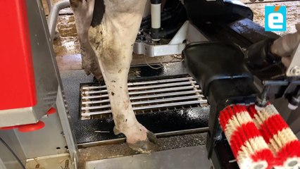 Deux astuces sur le robot de traite du GAEC de La Bruyère