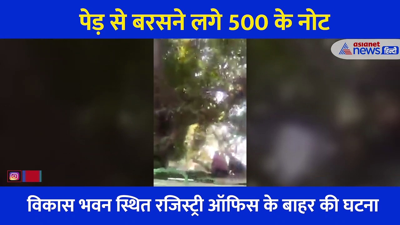 यूपी के इस शहर में पेड़ से अचानक बरसने लगे 500 के नोट,  लूटने के लिए लोगों में मचा हड़कंप... देखें वीडियो