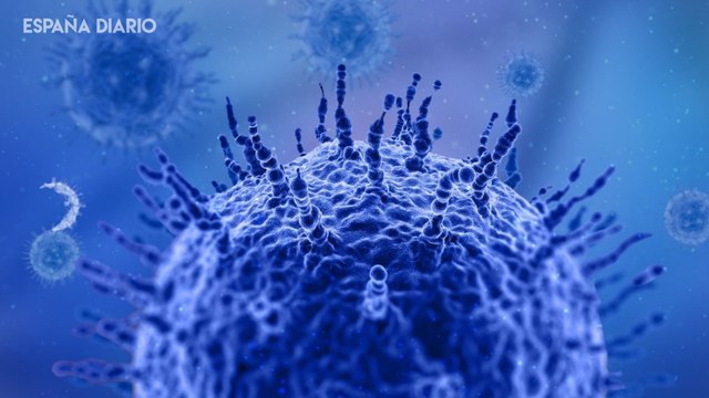 Confirman 7 casos de viruela del mono y 22 más de sospechosos en Madrid