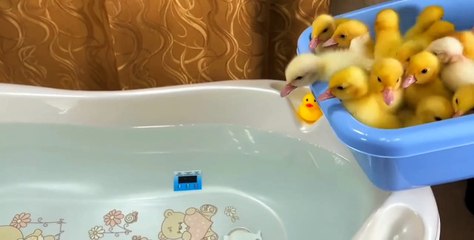 Going to the beach with friends | لما تروح تصيف مع صحابك