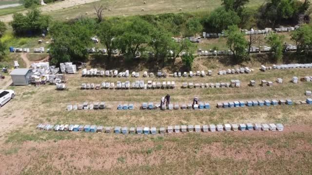Bilecikli arıcı kaliteli bal üretmek için 22 yıldır kovanlarını taşıyor
