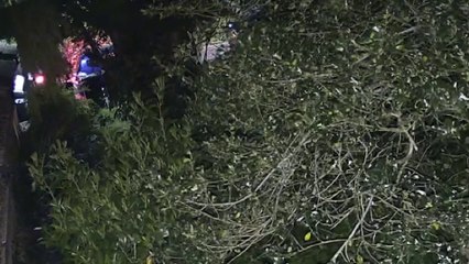 New CCTV appeal as Barnet murder investigation continues