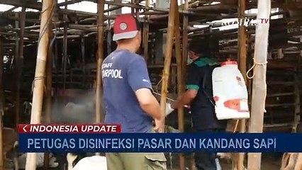 Antisipasi Penularan PMK, Petugas Periksa Peternakan Sapi Langganan Jokowi