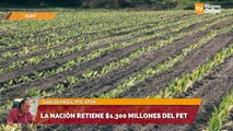 La Nación retiene $1.300 millones del FET