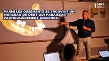 La dent d'un ancêtre de l'homme, vieille de 130 000 ans, découverte au Laos