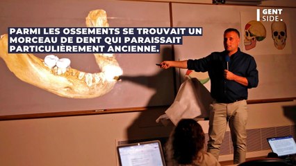 La dent d'un ancêtre de l'homme, vieille de 130 000 ans, découverte au Laos
